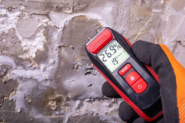 Best Mold Remediation for Schools in North Platte, NE